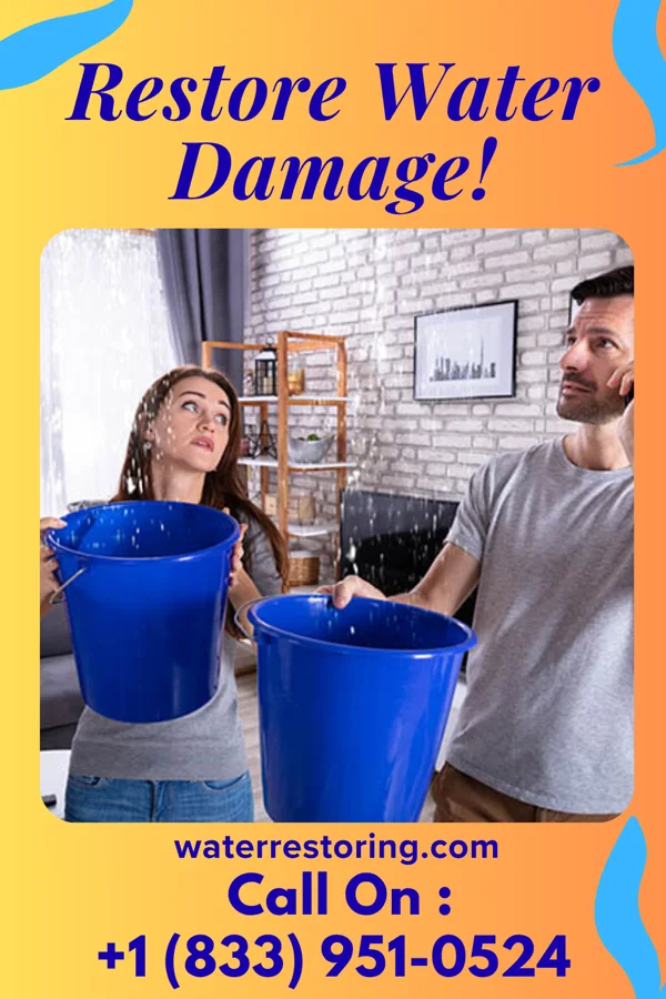 water restoration Stellar Damage Recovery Authority Cygnet