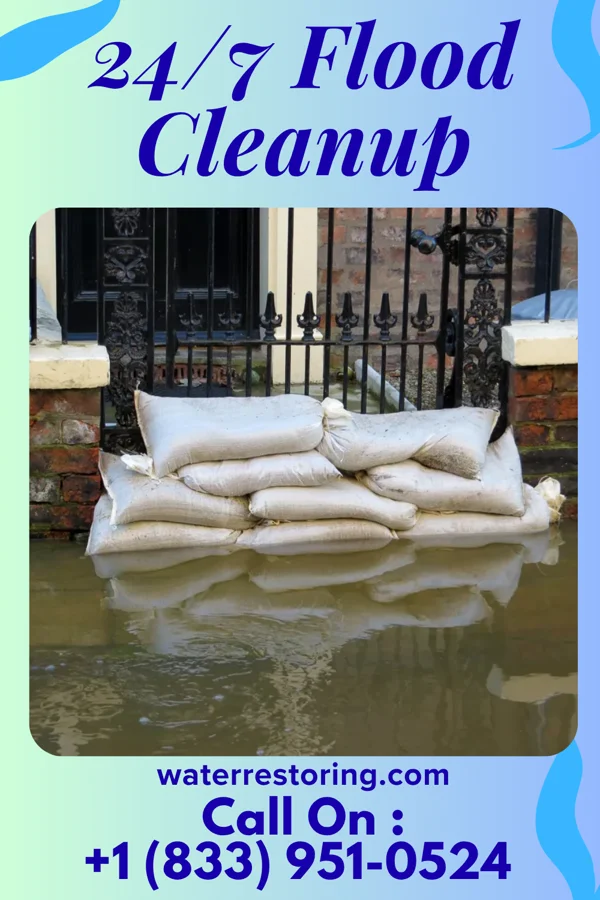 24/7 Flood Cleanup in Cygnet, OH