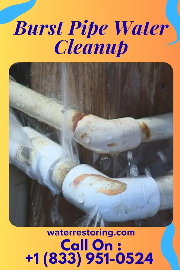 Burst Pipe Water Cleanup in Cygnet, OH