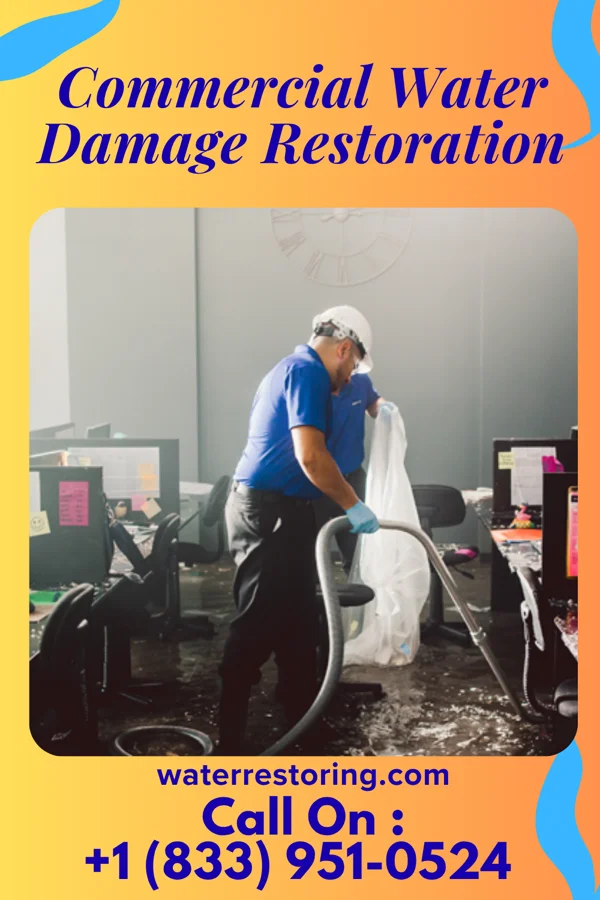 Commercial Water Damage Restoration in Cygnet, OH