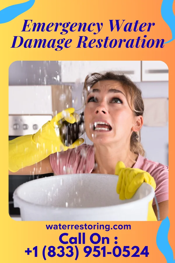 Emergency Water Damage Restoration in Cygnet, OH