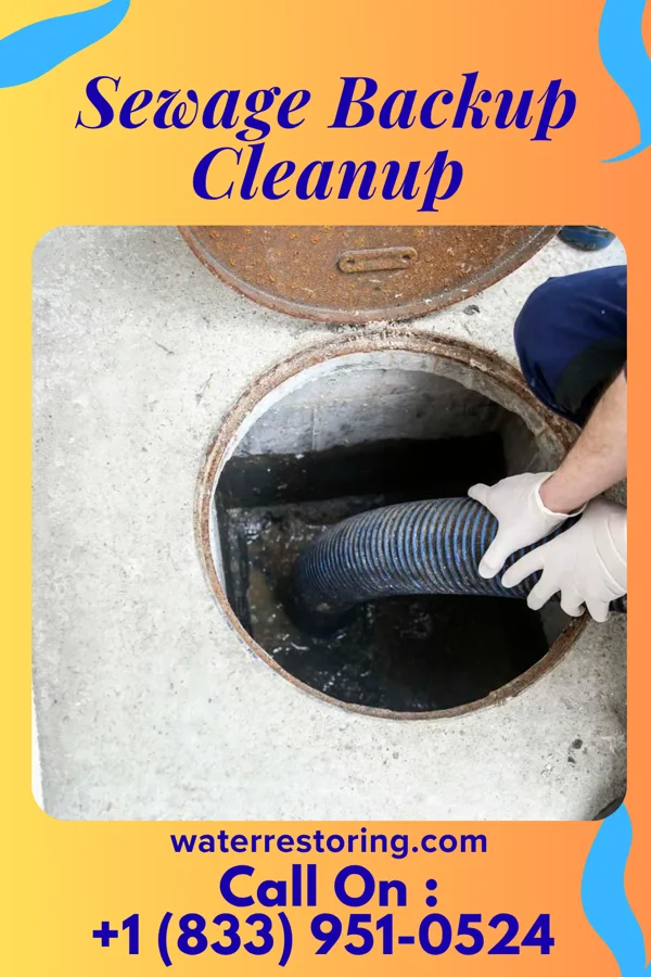 Sewage Backup Cleanup in Cygnet, OH